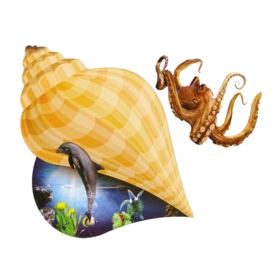 Wykluwające się Zwierzęta Morskie Rosnące Magiczne