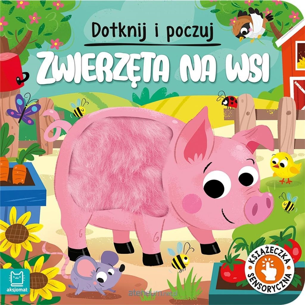 KSIĄŻECZKA NA WSI