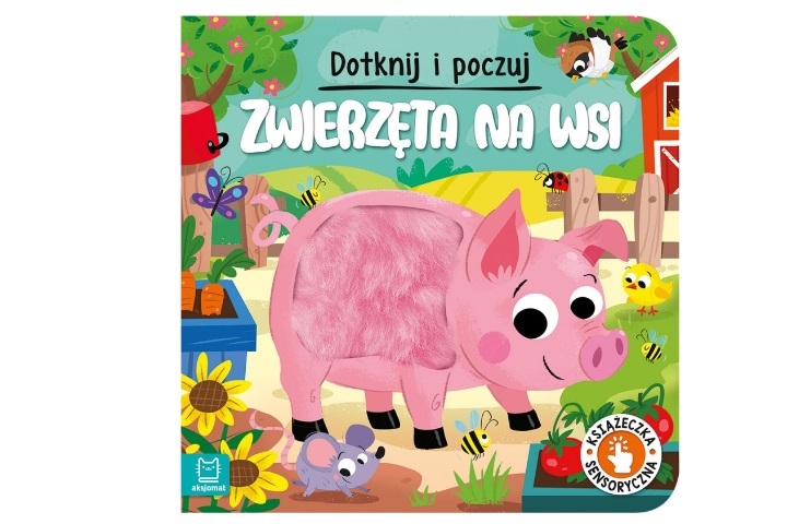 KSIĄŻECZKA NA WSI