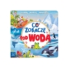 CO ZOBACZĘ POD WODĄ