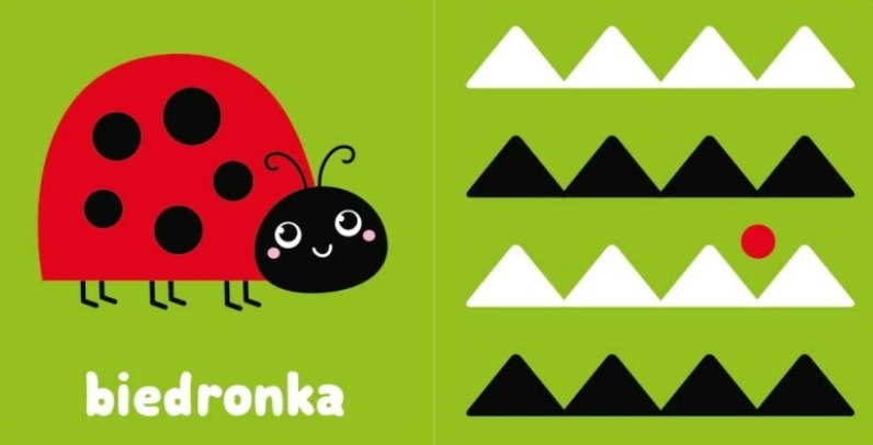 Zobacz, maluszku! Książeczka kontr.z kotkiem 35763