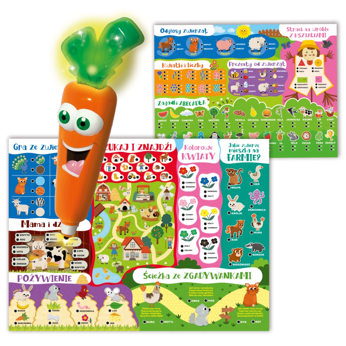 LISCIAN CAROTINA 50 GIER