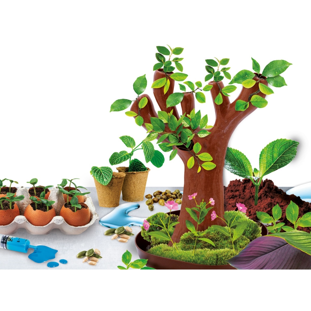 LISCIANI I'M GENIUS NAUKAW DOMU BOTANICA