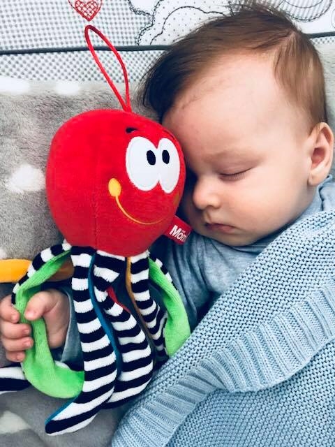 Mini ośmiornica czerwona 997 69977