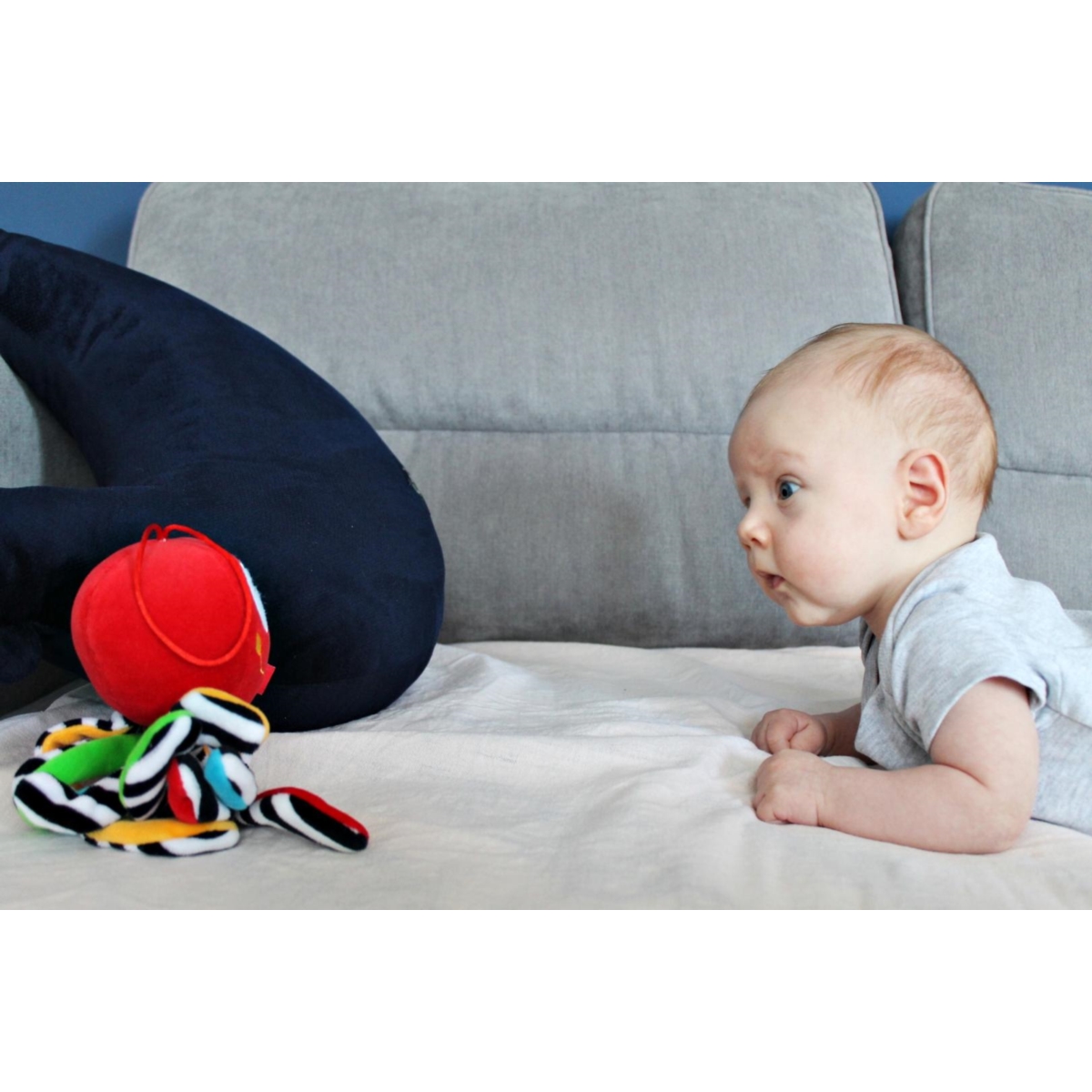 Mini ośmiornica czerwona 997 69977