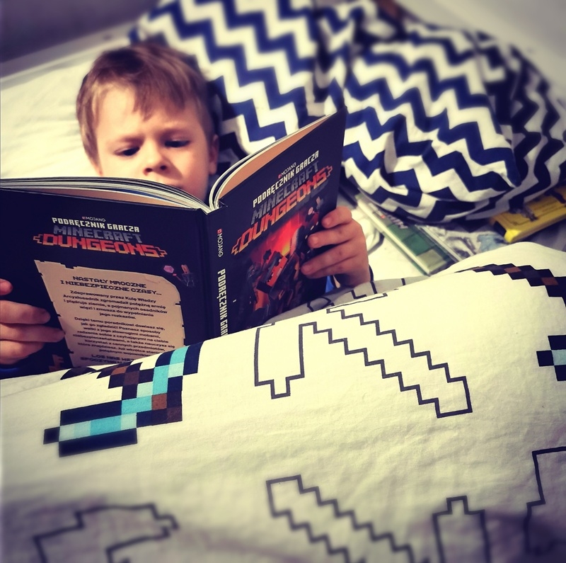 Minecraft Podręcznik gracza DungeonsPoradnik 70519