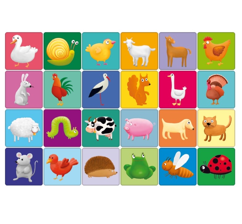 Farma Gra memory Adamigo 07875