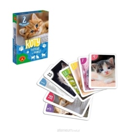 Karty piotruś + pamięć - koty 27822