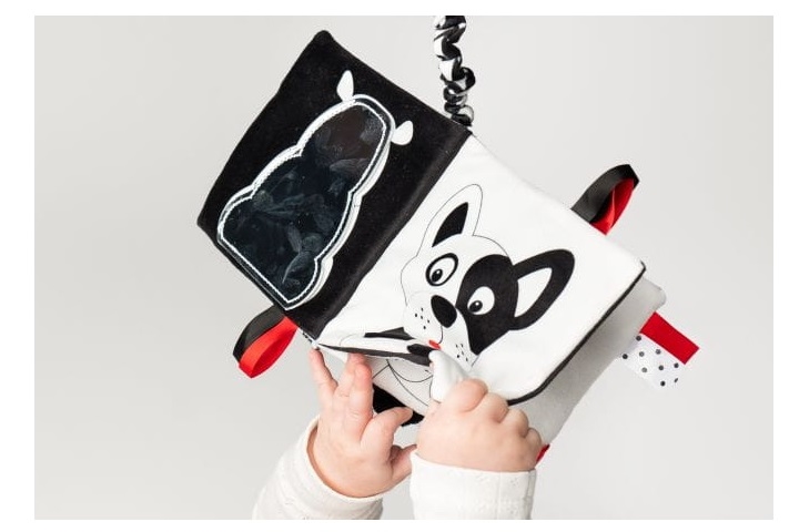 Książeczka kto to? co to? 917 69175