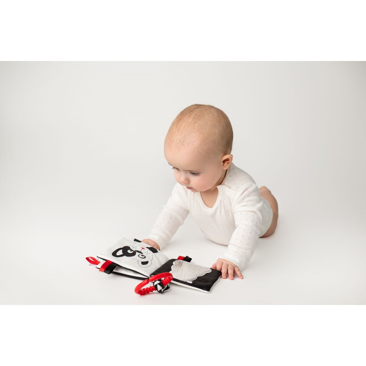 Książeczka kto to? co to? 917 69175