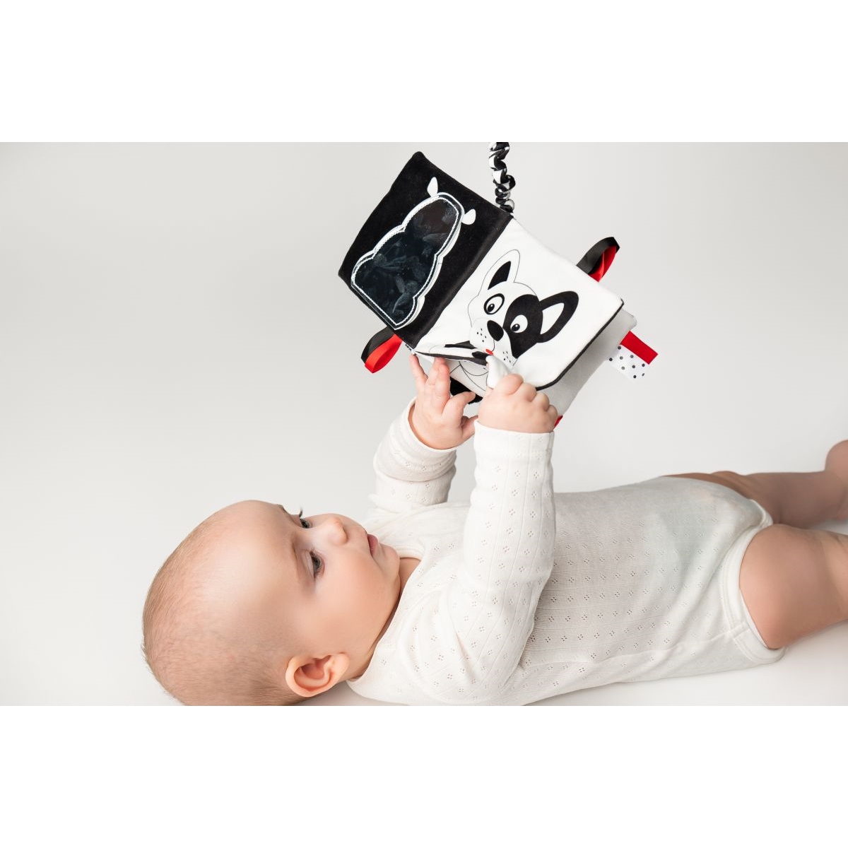 Książeczka kto to? co to? 917 69175