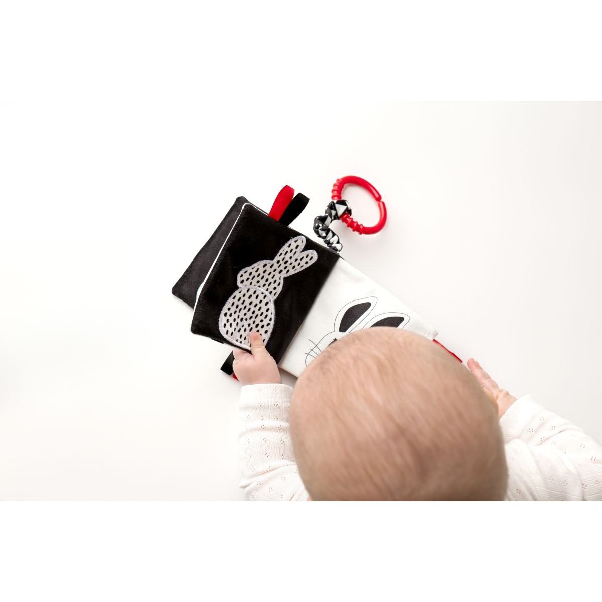 Książeczka kto to? co to? 917 69175