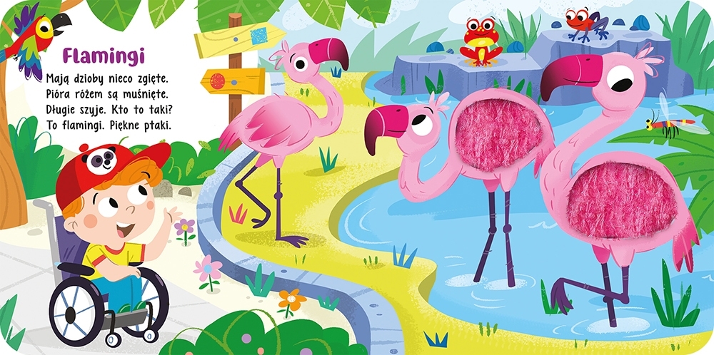 Dotknij i poczuj Zwierzęta w ZOO 38856