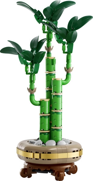 10344 LEGO BOTANICALS Dracena sandera