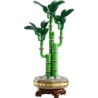 10344 LEGO BOTANICALS Dracena sandera