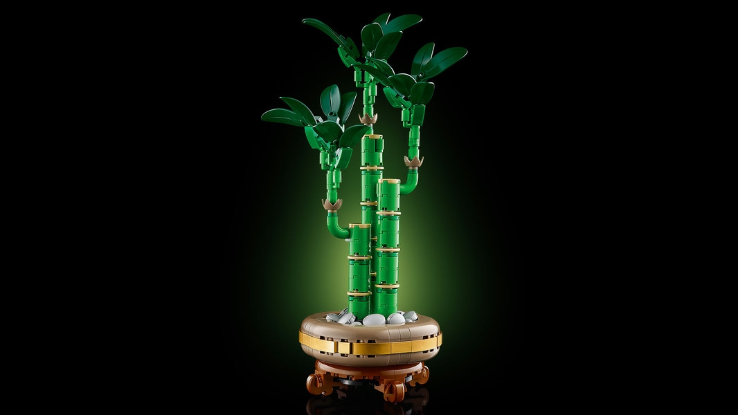 10344 LEGO BOTANICALS Dracena sandera