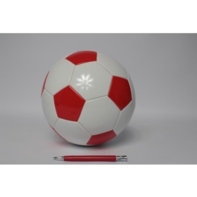 Piłka nożna Biedronka biało-czerw 1025636**