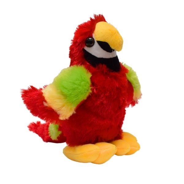 Papuga średnia VIC03762 37628