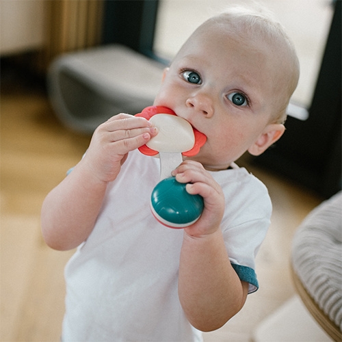 BABYONO GRZECHOTKA Z GRYZAKIEM 1590