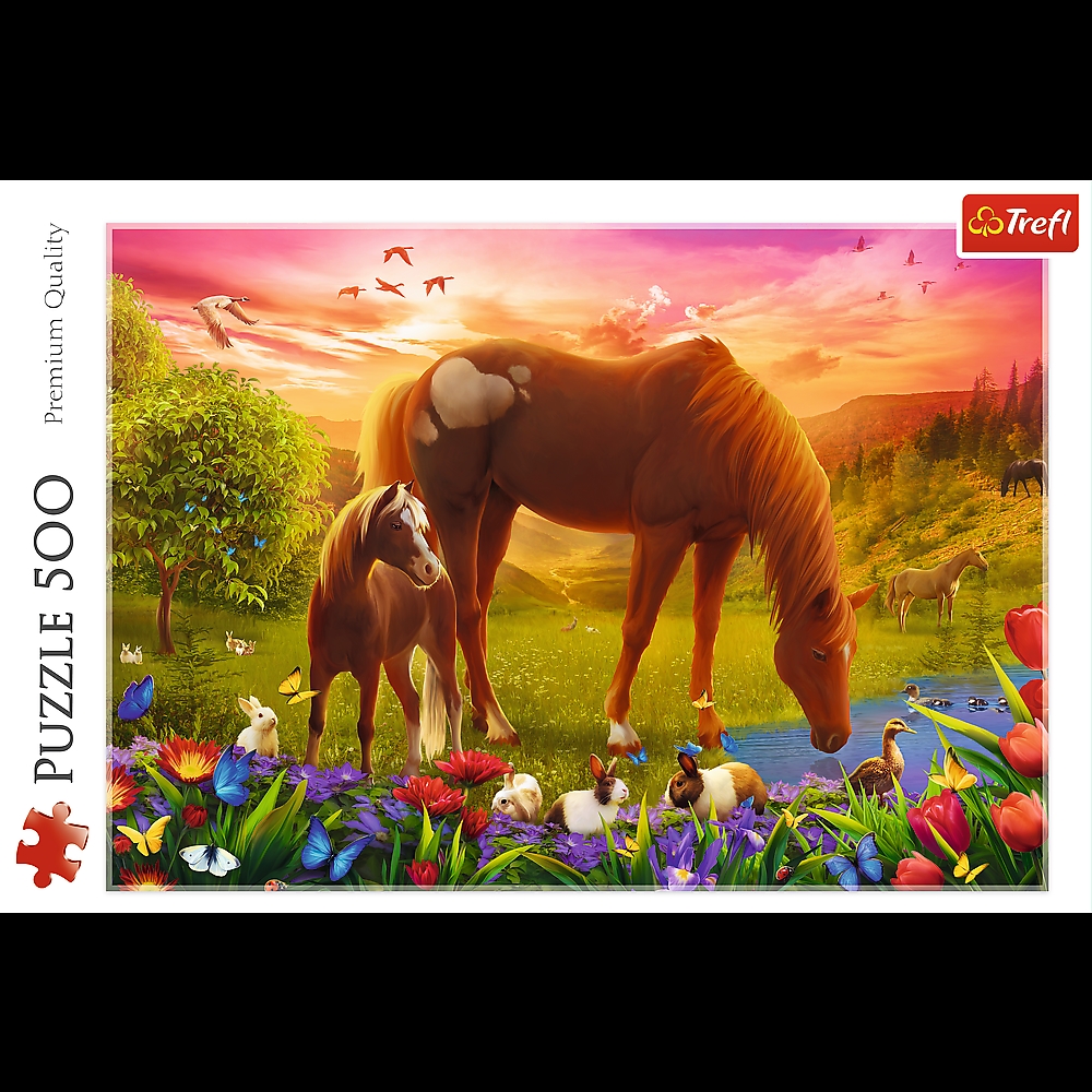PUZZLE 500 Konie na łące 37451