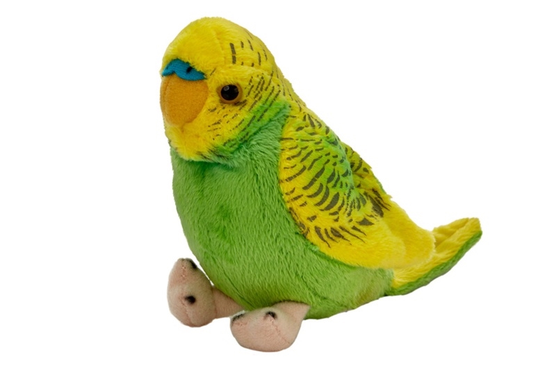 Papuga falista 13cm zielono-żółta 13728 17710