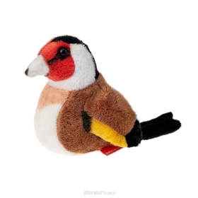 Szczygieł 13cm 14162 23803