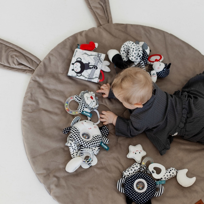 BLACK&WHITE SPRĘŻYNKA EDUKACYJNA LISEK