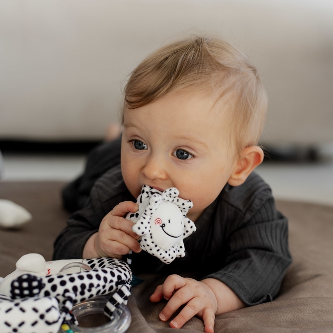 BLACK&WHITE ZABAWKA PODRÓŻNA KOTEK