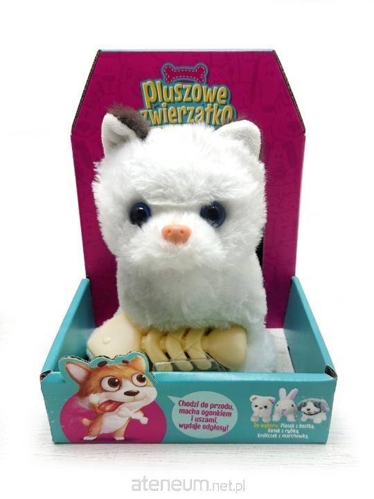 Kotek chodzący z rybką