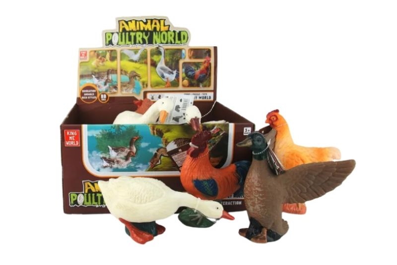 Zwierzęta drób 1szt 1351997 19975