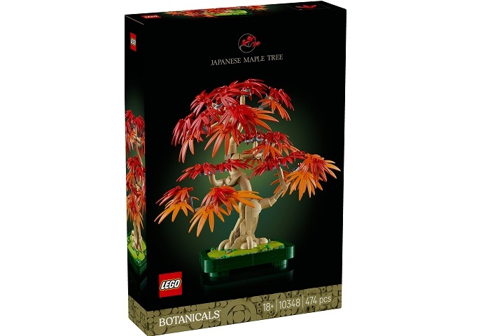 LEGO BOTANICALS Klon palmowy bonsai 10348