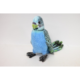 Papużka niebieska VIC 04294 42943