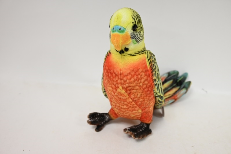 Papużka pomarańczowa VIC 04295 42950