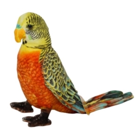 Papużka pomarańczowa VIC 04295 42950