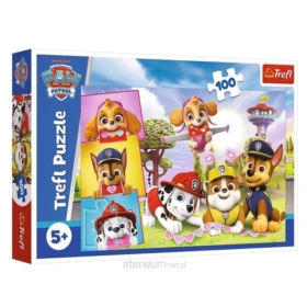 Puzzle 100 Dziewczyny Psi Patrol 16520
