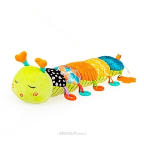 Gąsienica Tomek z miarką