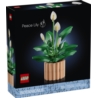 LEGO BOTANICALS 11504 SKRZYDŁOKWIAT