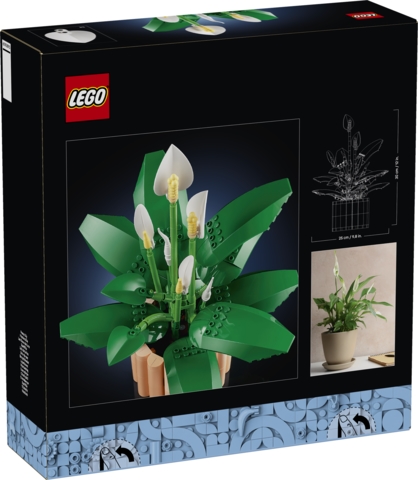 LEGO BOTANICALS 11504 SKRZYDŁOKWIAT