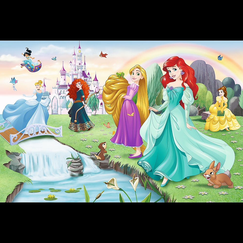 Puzzle - 60 - Poznaj Księżniczki - Disney Princess