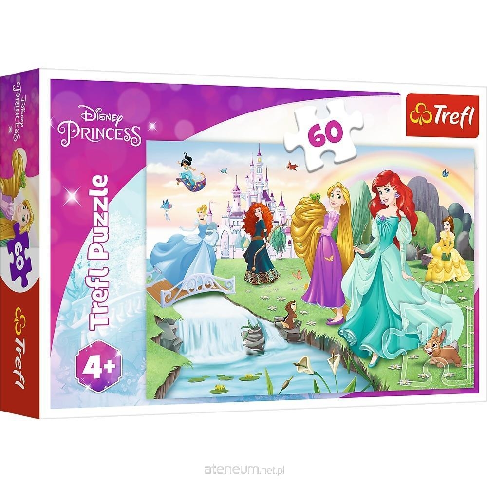 Puzzle - 60 - Poznaj Księżniczki - Disney Princess