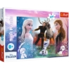 Puzzle - 300 - Magiczny czas - Disney Frozen 2 230