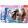 Puzzle - 300 - Magiczny czas - Disney Frozen 2 230