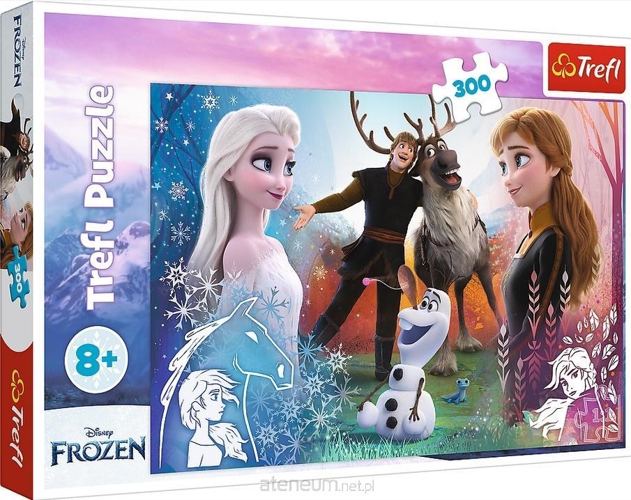 Puzzle - 300 - Magiczny czas - Disney Frozen 2 230