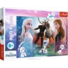 Puzzle - 300 - Magiczny czas - Disney Frozen 2 230