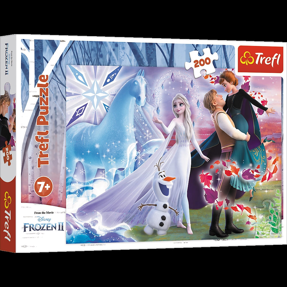 Puzzle - 200 - Magiczny świat sióstr FROZEN 13265