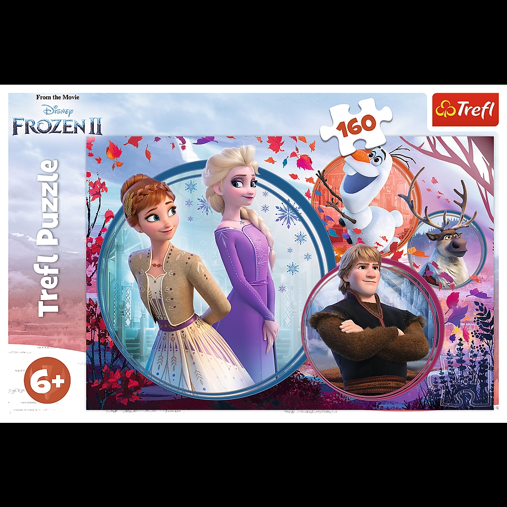 PUZZLE 160  DISNEY FROZEN
