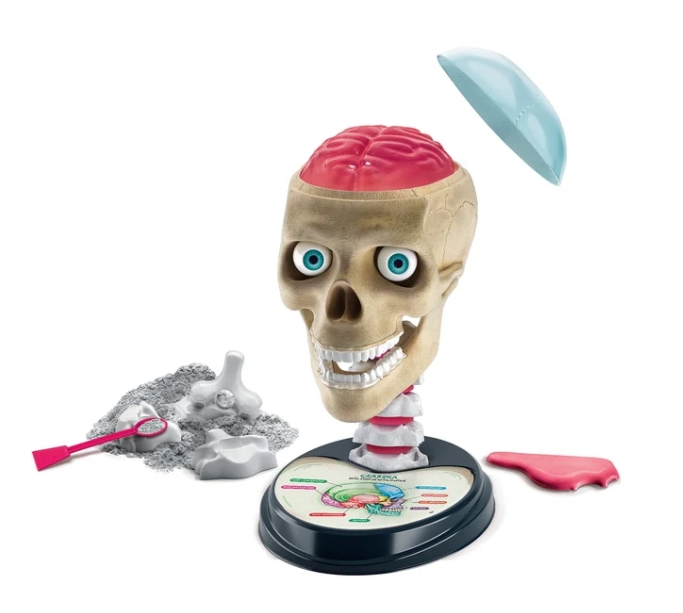 CLEMENTONI ZWARIOWANA ANATOMIA