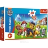Puzzle 60el. Psi Patrol Na Polanie Trefl 17375