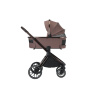 ADAMEX SPARK CHOCOLATE TRUFFLE 12