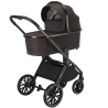 ADAMEX SPARK CHOCOLATE BROWN 13